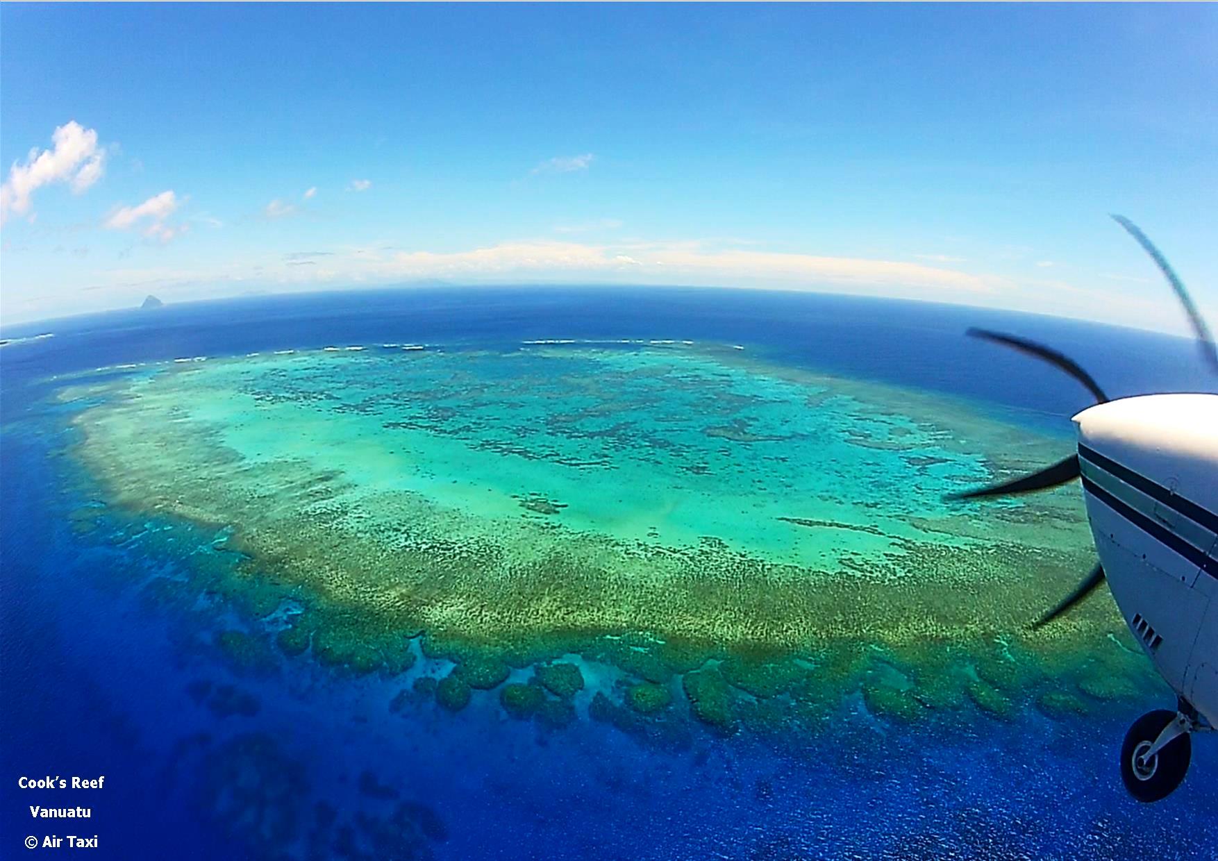 cookss-reef-1
